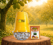 Chipku Glass Trap with Fruit Fly Lure Pack of 10