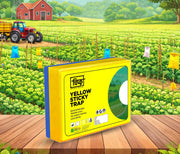 Chipku A5 Yellow & Blue Sticky Trap for Insects Pack of 10