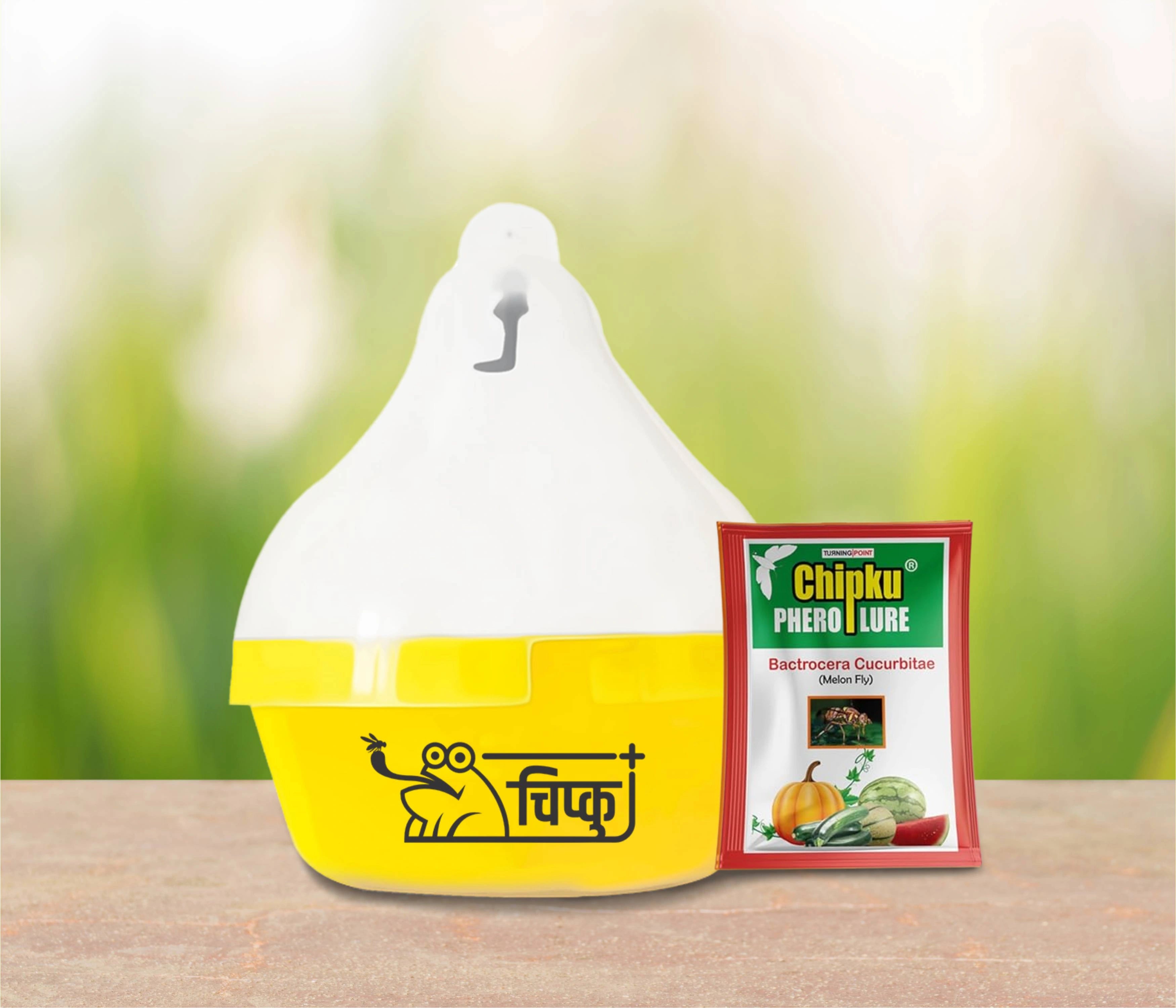Chipku Ecomax Pheromone Trap with Melon Fly Lure ( bactrocera cucurbitae)-Pack of 10