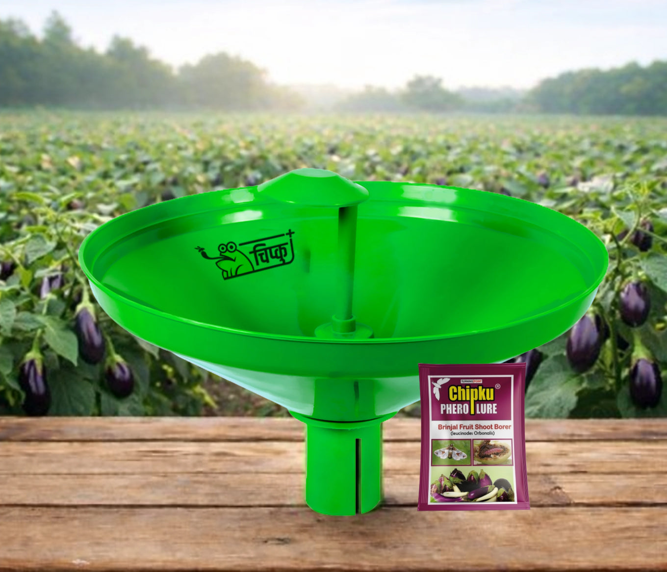 Chipku Pheromone water Trap with Lucinodes orbonalis Lure for Catch Moth brinjal fruit and shoot borer-Pack Of 10