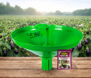 Chipku Pheromone water Trap with Lucinodes orbonalis Lure for Catch Moth brinjal fruit and shoot borer