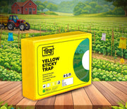 Chipku A5 Yellow Sticky Trap for Insects Pack of 25