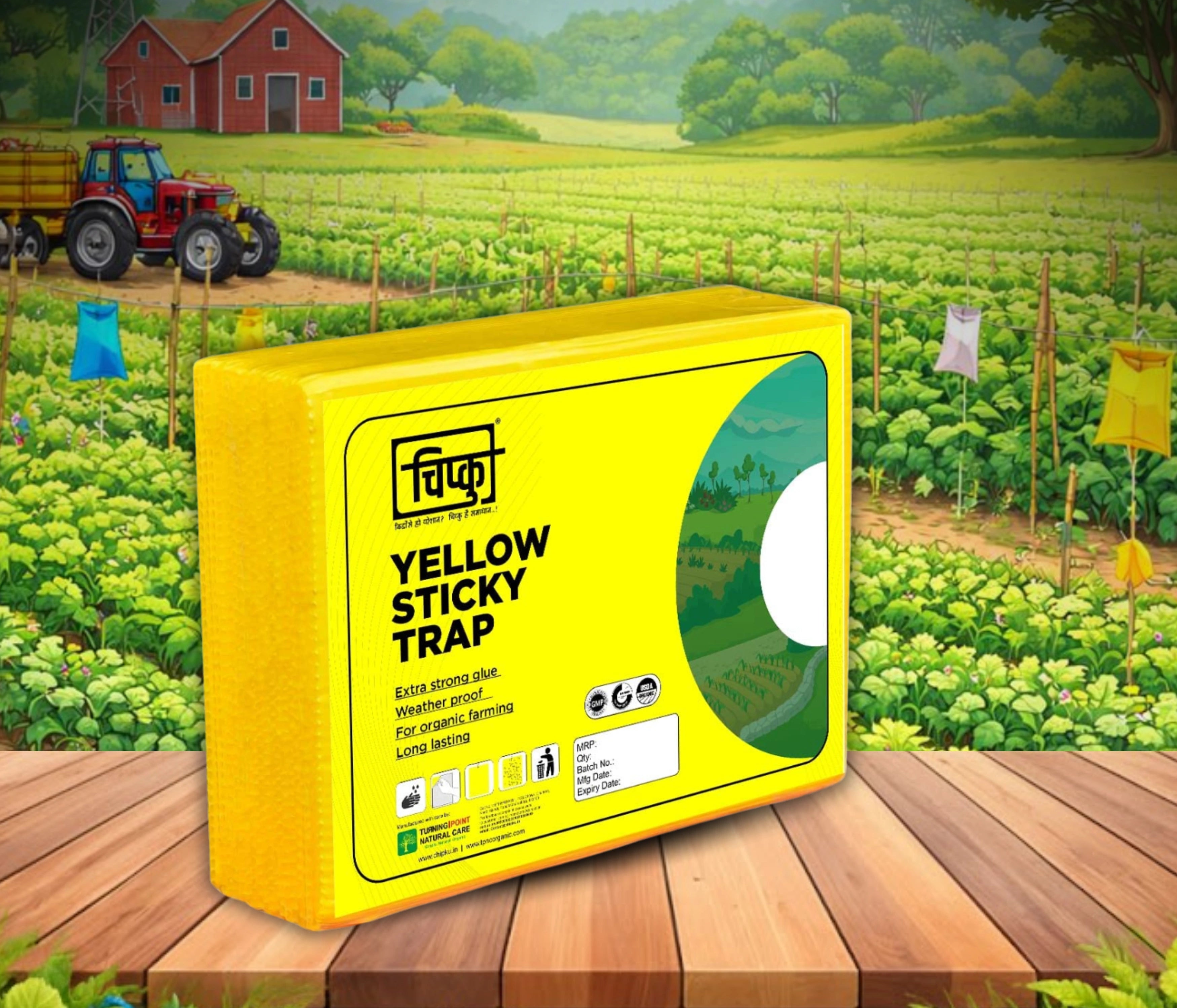 Chipku A5 Yellow Sticky Trap for Insects Pack of 25