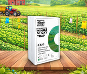 Chipku A4 White Sticky Trap for Insects Pack of 10