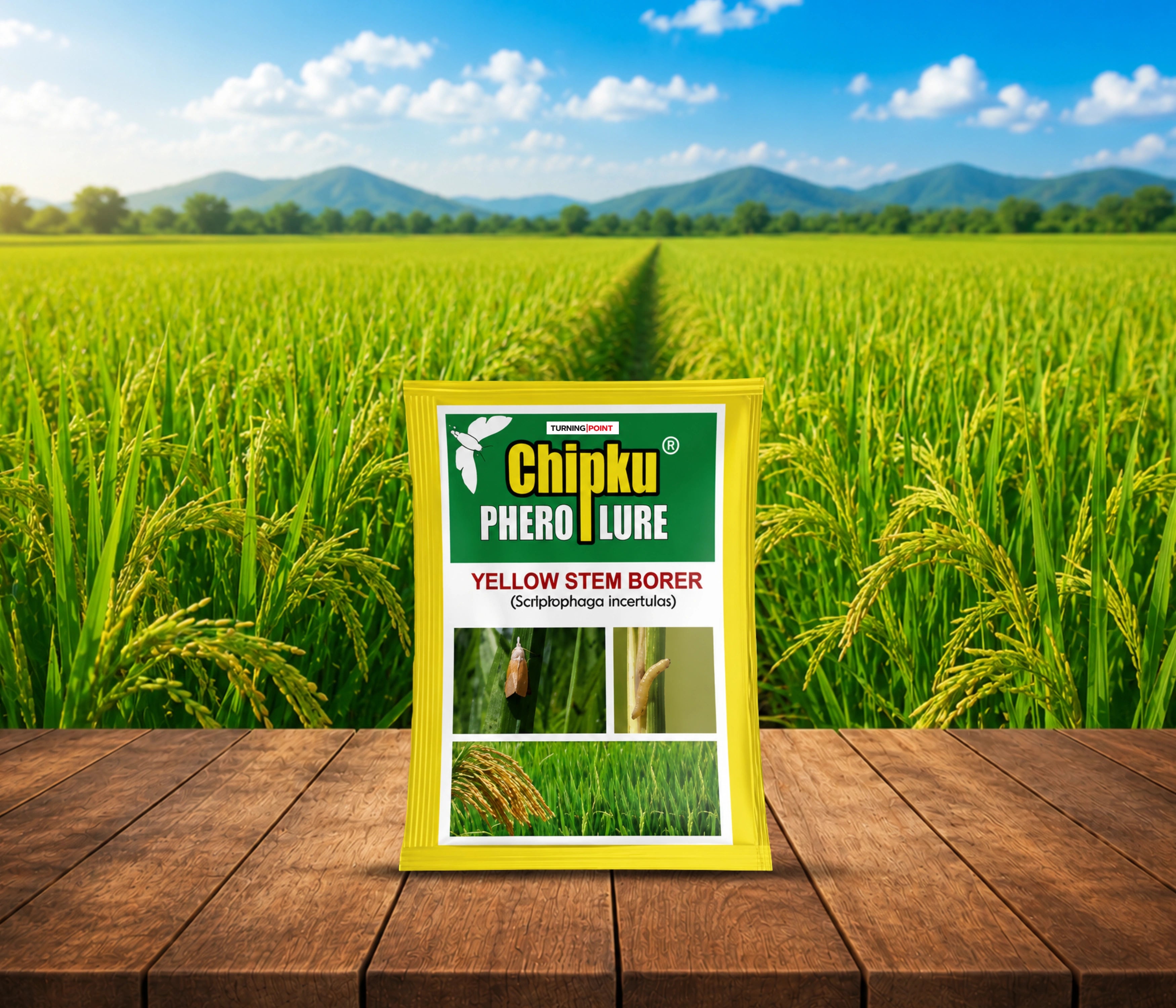 Chipku Yellow Stem Borer Pheromone Lure (Scriptophaga Incertulas)