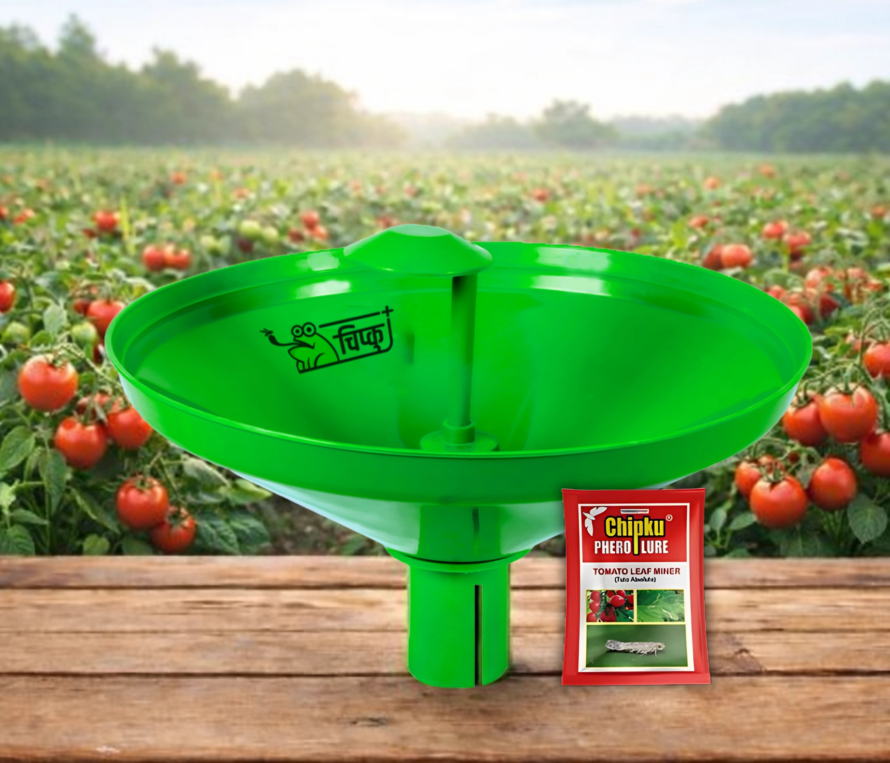 Chipku- Pheromone Water Trap with Tuta Absoluta Lure for Catch Moth Tomato Leaf Minor-Pack Of 20