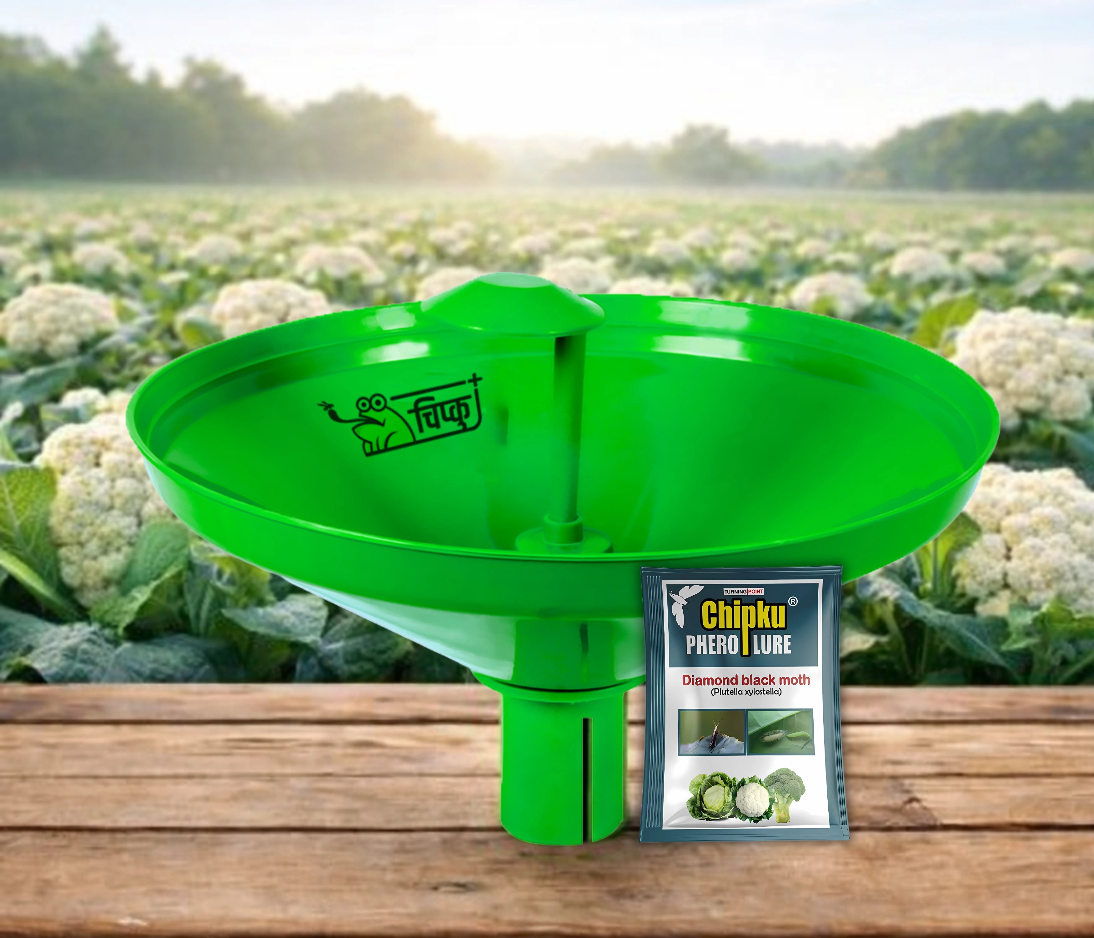 Chipku- Pheromone Water Trap with Plutella xylostella Lure for Catch Insect Moth Diamond Black Moth -Pack Of 10