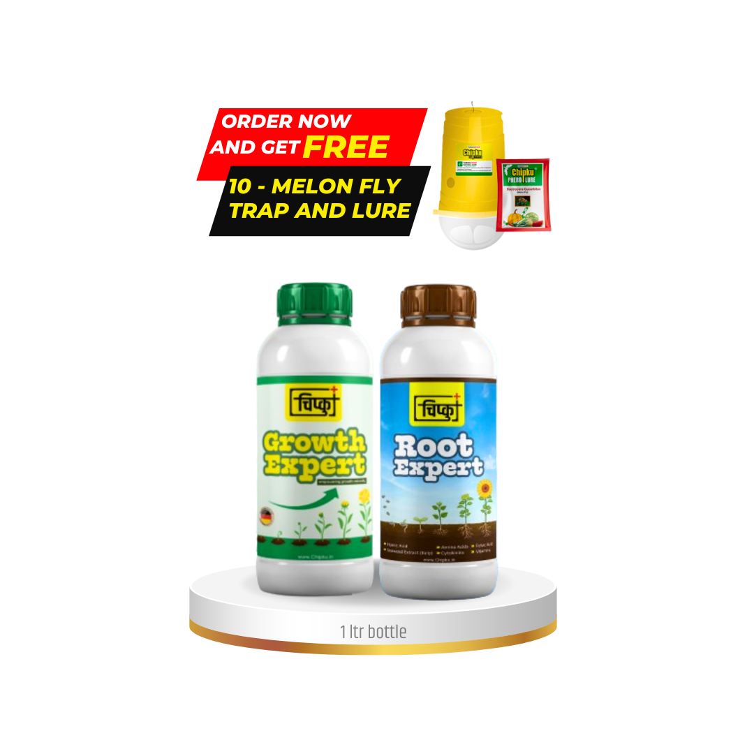 Root Expert and Growth Expert Combo Power - 500 ml each