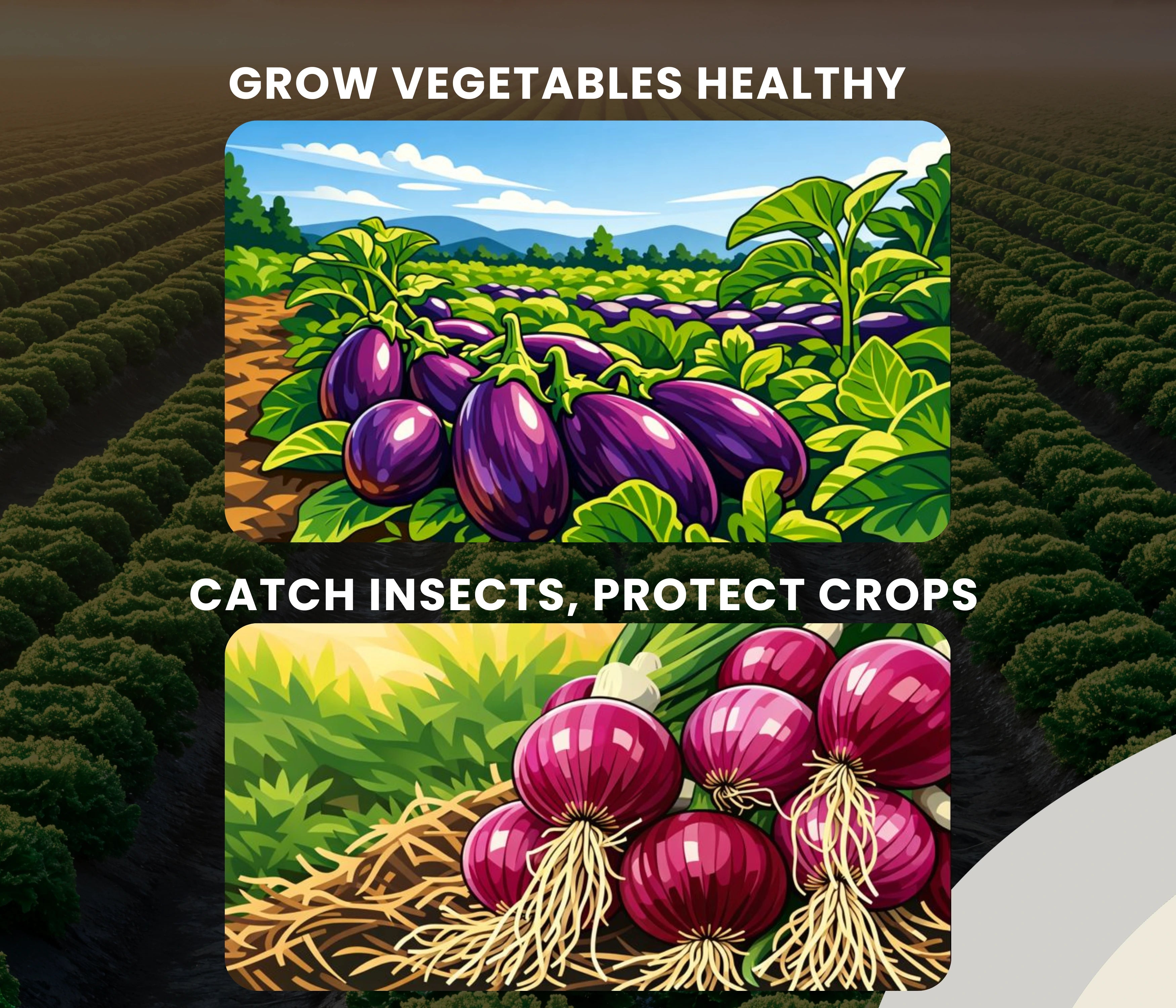 Chipku A4 Yellow & Blue Sticky Trap for Insects Pack of 10