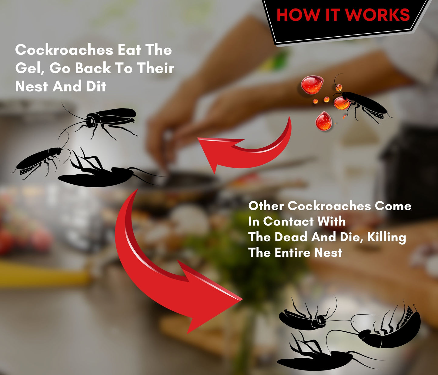 Amish C Eco Friendly Cockroach Bait gel 30g combo pack for Home