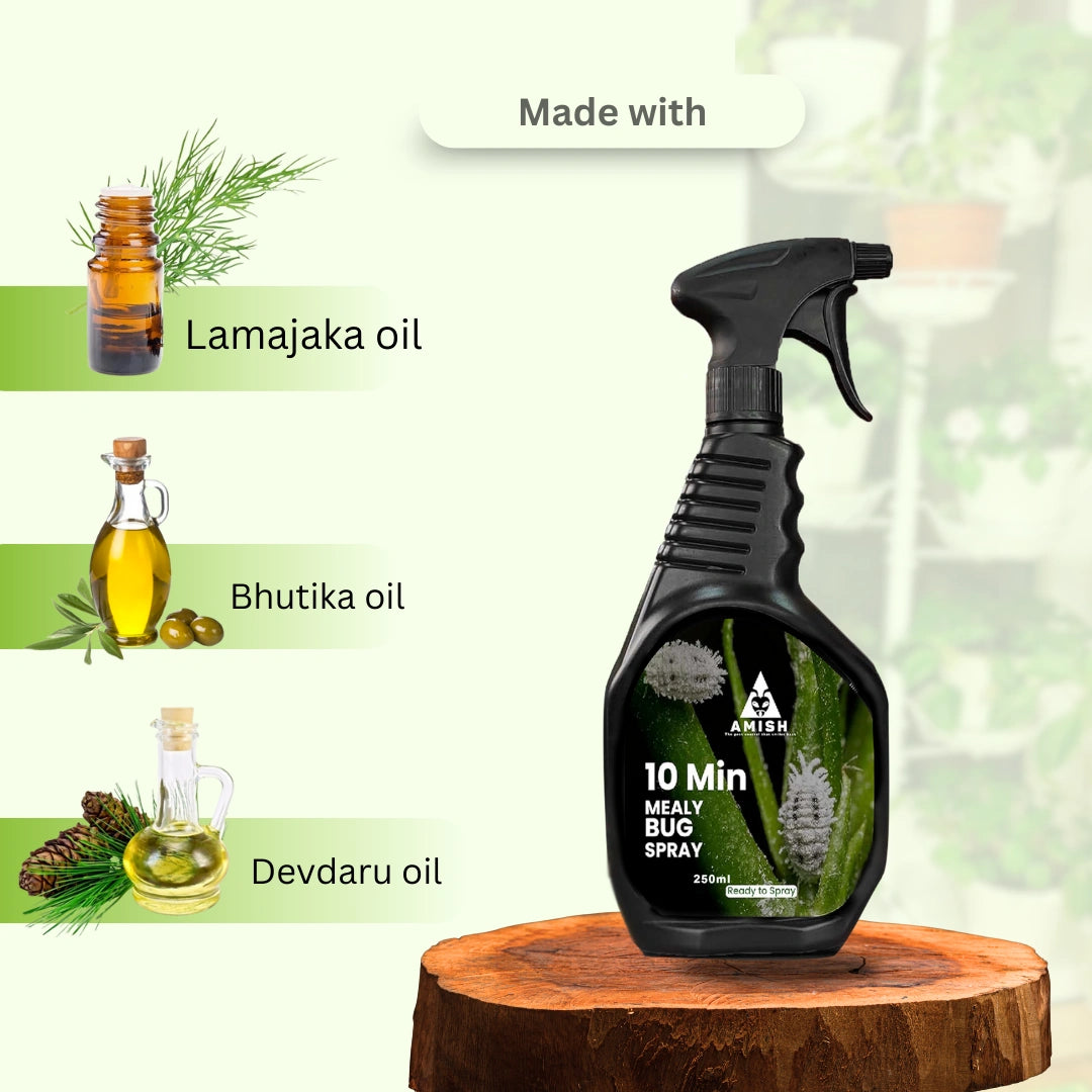 Chipku Herbal Mealy Bug Spray 250ml