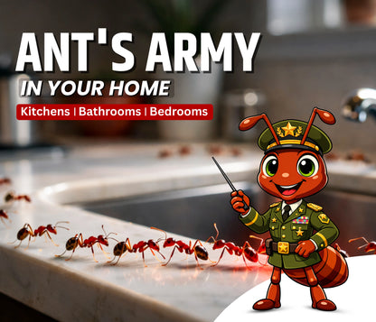 Amish Herbal Ant Repellent Powder-150gm