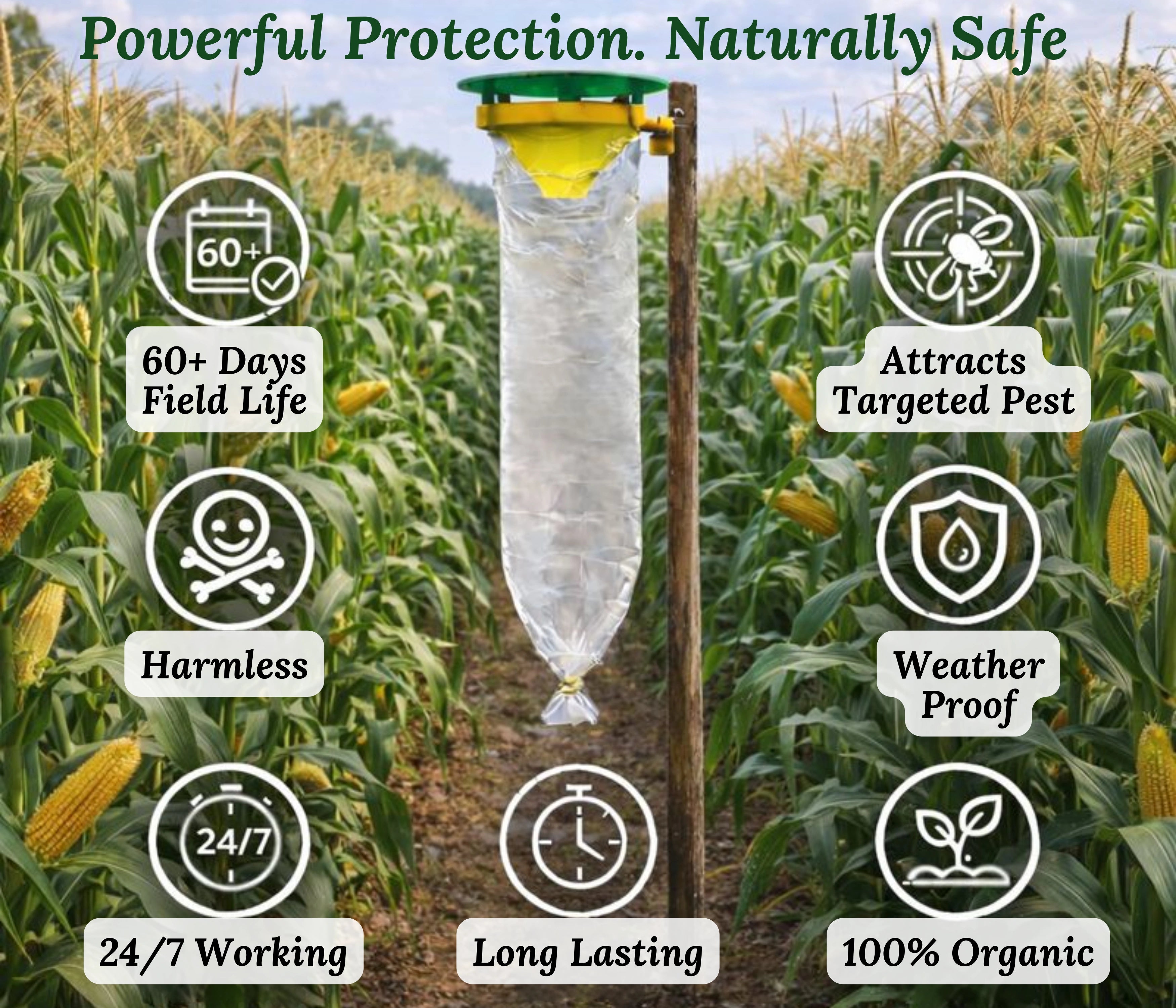 Chipku Funnel Trap with Fall Armyworm Lure – Pack of 5