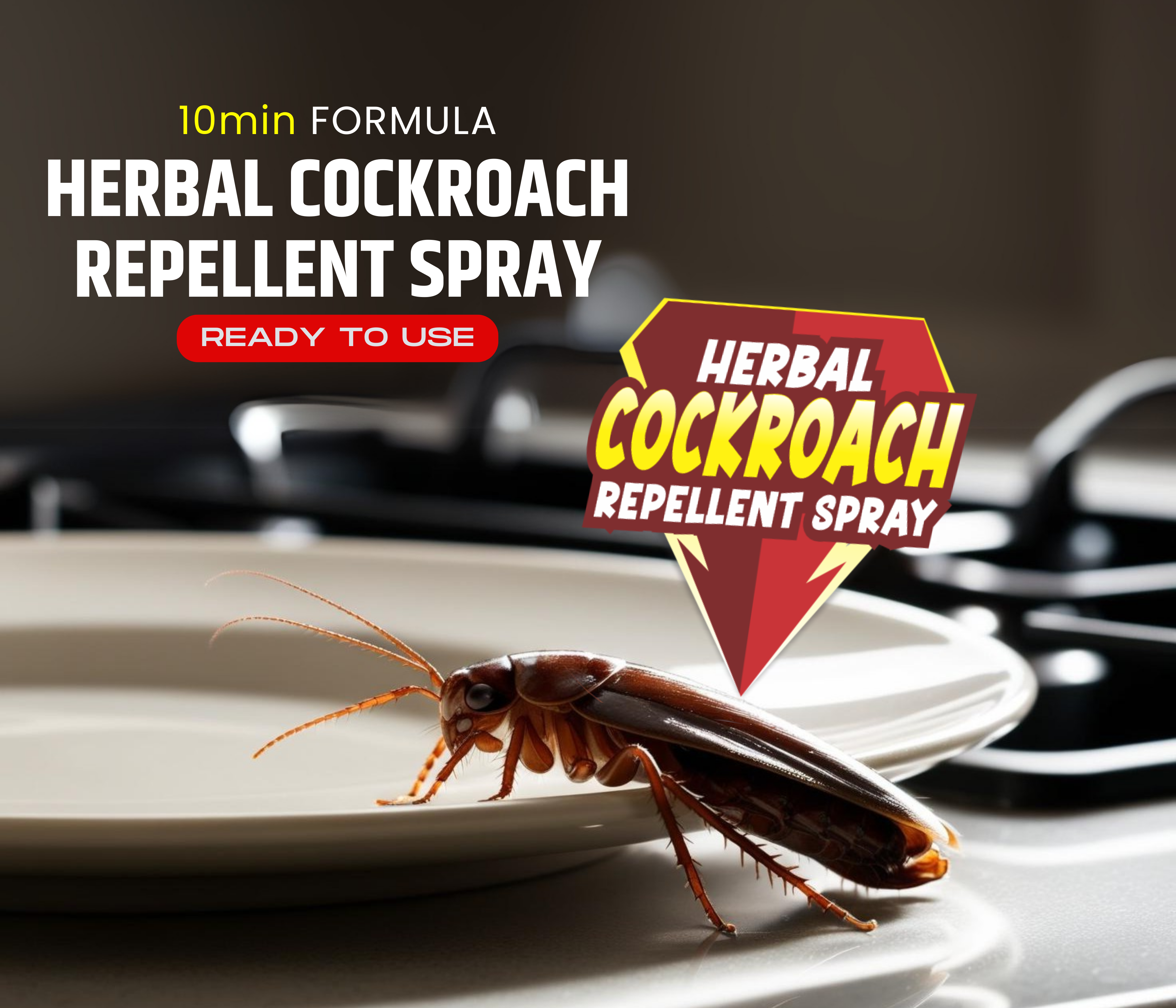 Amish Herbal Cockroach Spray-100ml