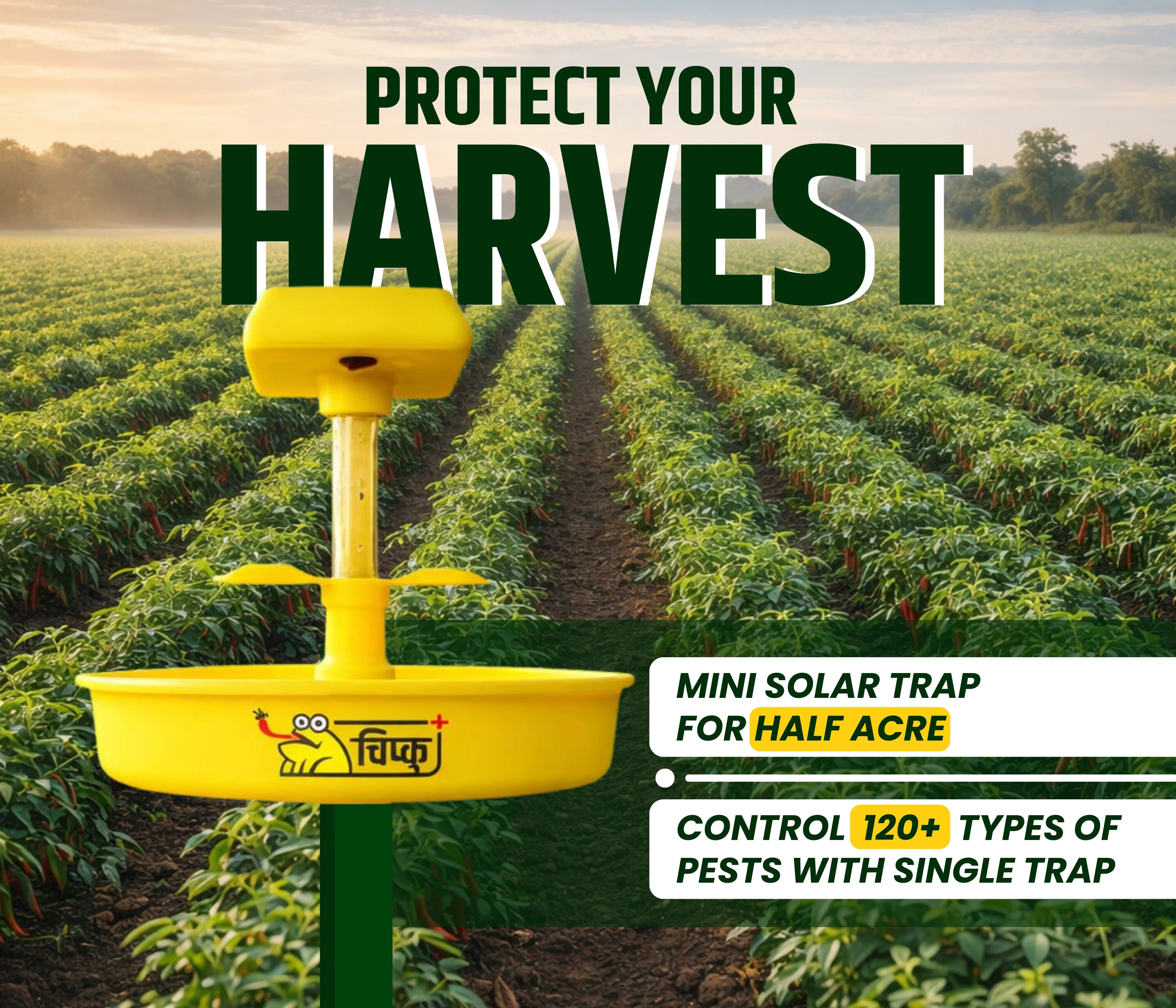 Chipku Mini Solar Trap