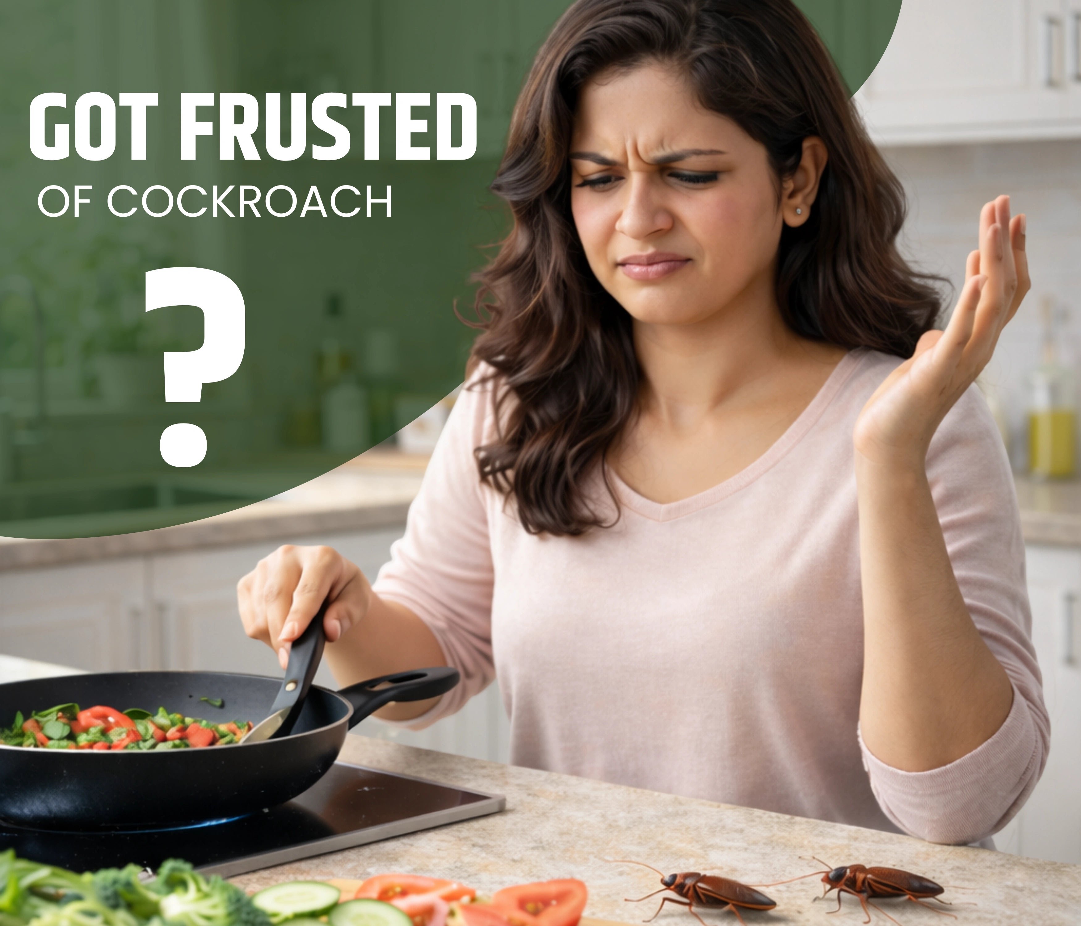 Amish Herbal Super Cockroach Powder-10gm ( Pack of 4)