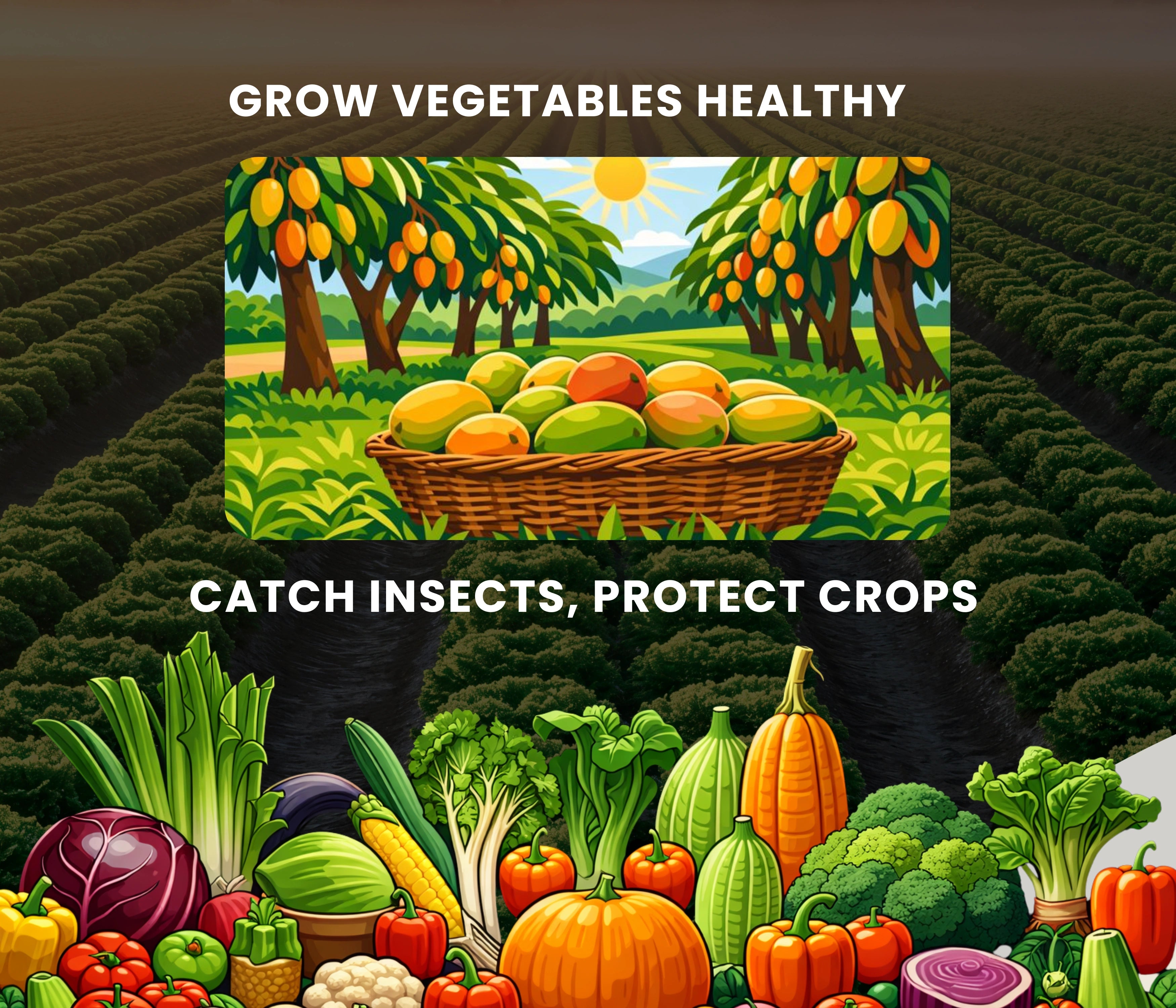 Chipku A5 Yellow Sticky Trap for Insects Pack of 25