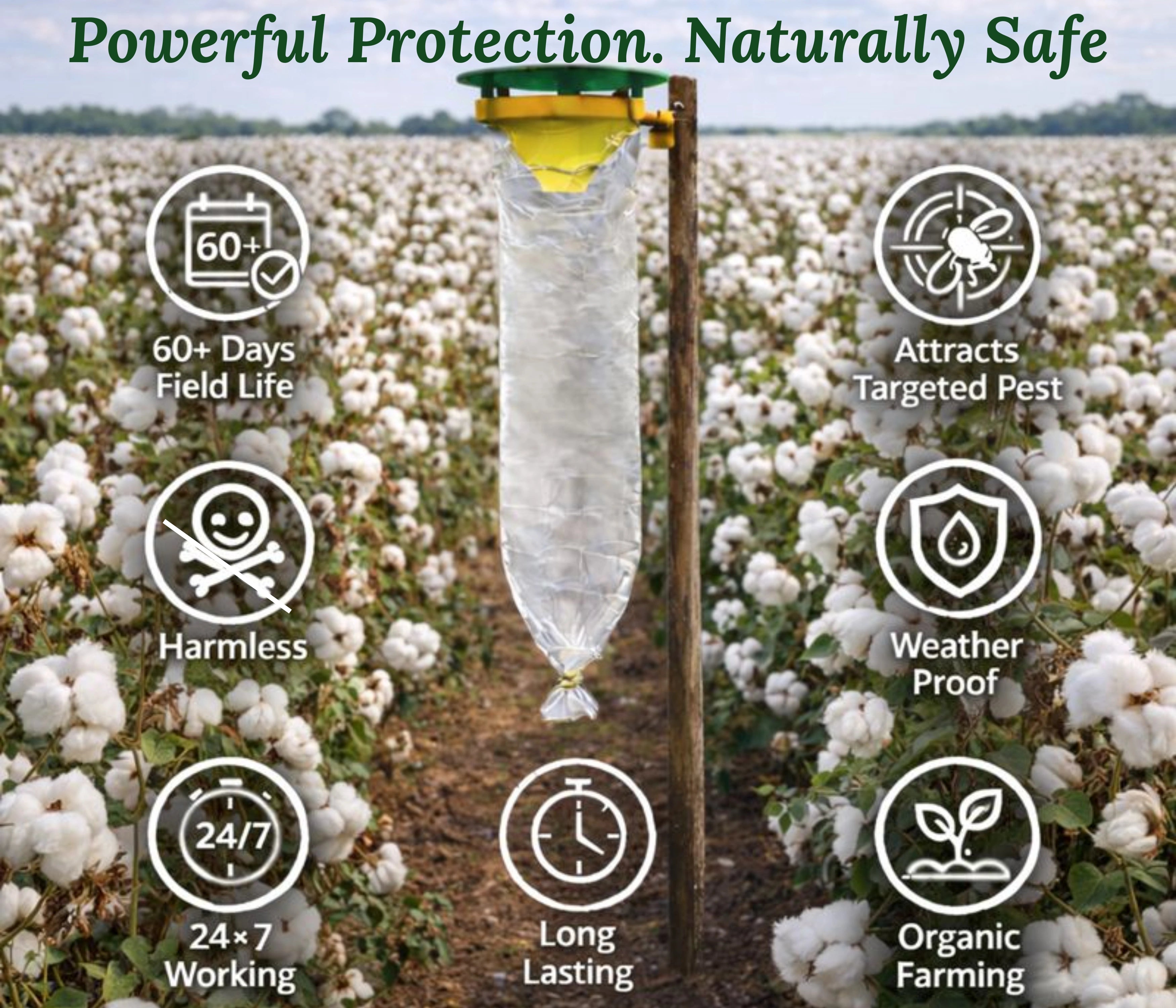 Chipku Pheromone Trap Funnel with Pink Bollworm Lure for Catch Moth of Pink Bollworm (pectinophora Gossippiella)Pack of 10