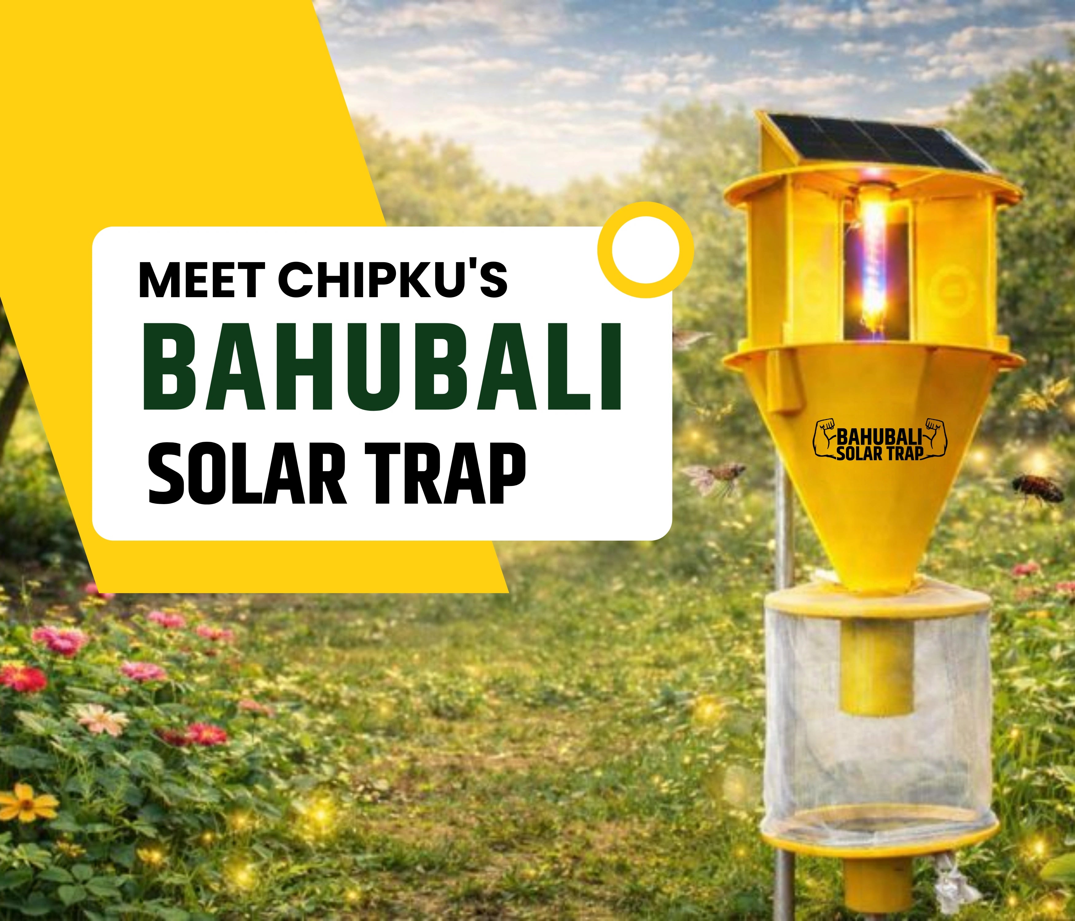 Chipku Bahubali Solar Trap