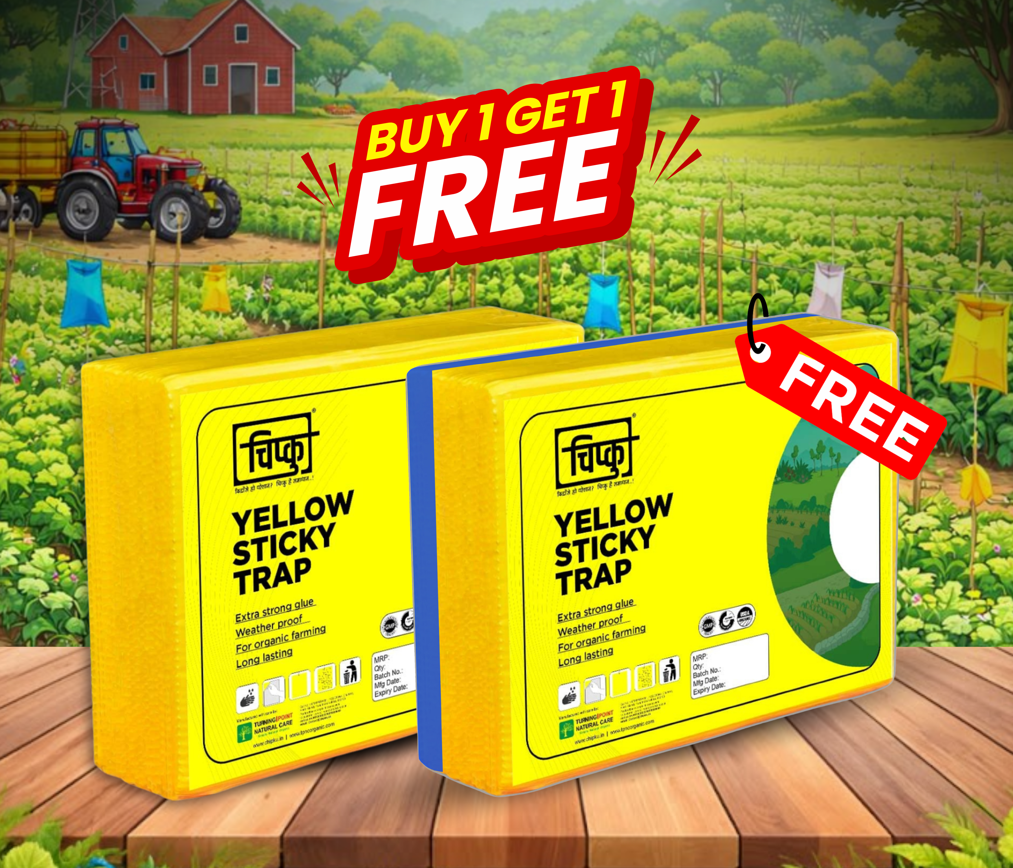 Chipku A5 Yellow Sticky Trap for Insects Pack of 25