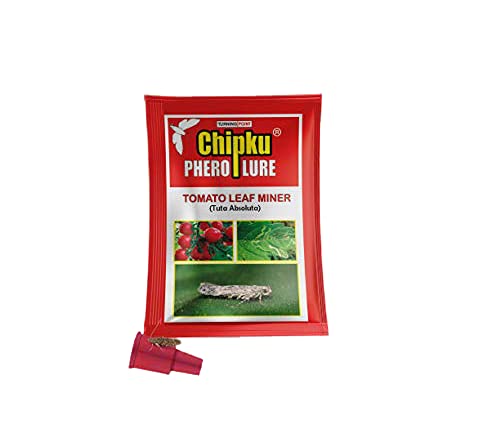 Chipku-pheromone Lure for Tomato Leaf Minor (TLM) (Tuta Absoluta) (10)