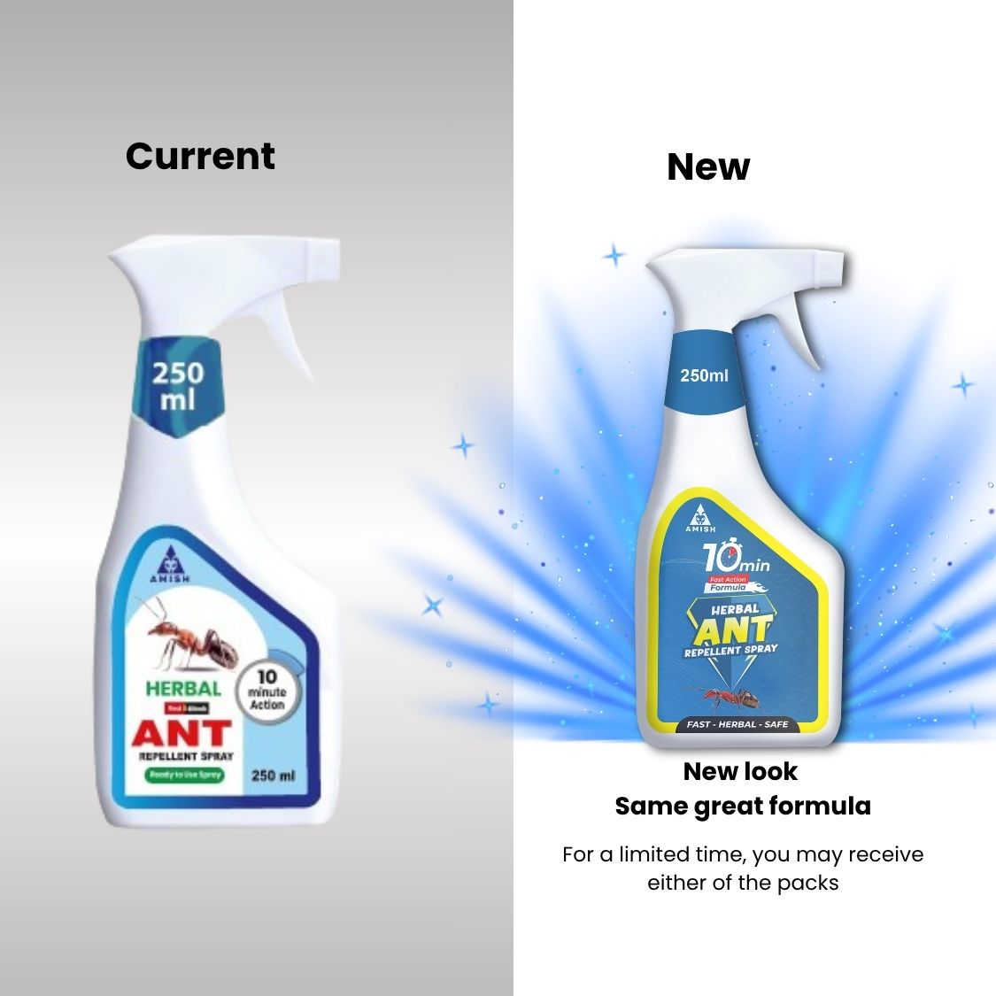 Amish A Eco-Friendly Ant Repellent Spray for Home - 250 ml