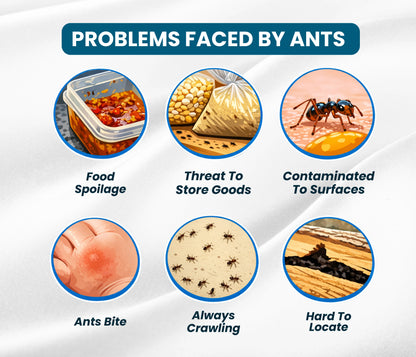 Amish Herbal Ant Repellent Powder-150gm