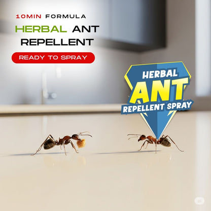 Amish A Eco-Friendly Ant Repellent Spray for Home - 250 ml