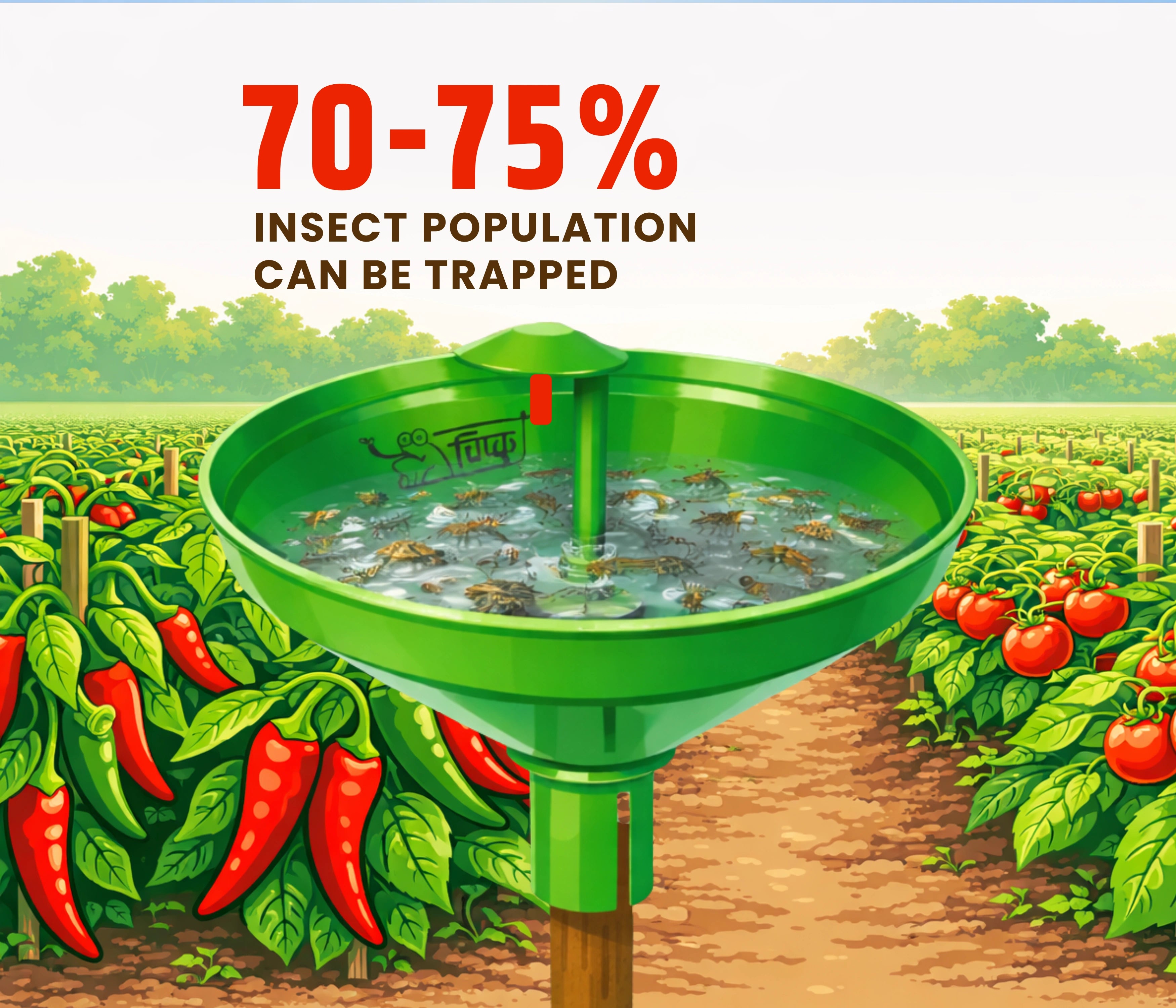 Chipku- Pheromone Water Trap with Tuta Absoluta Lure for Catch Moth Tomato Leaf Minor-Pack Of 10