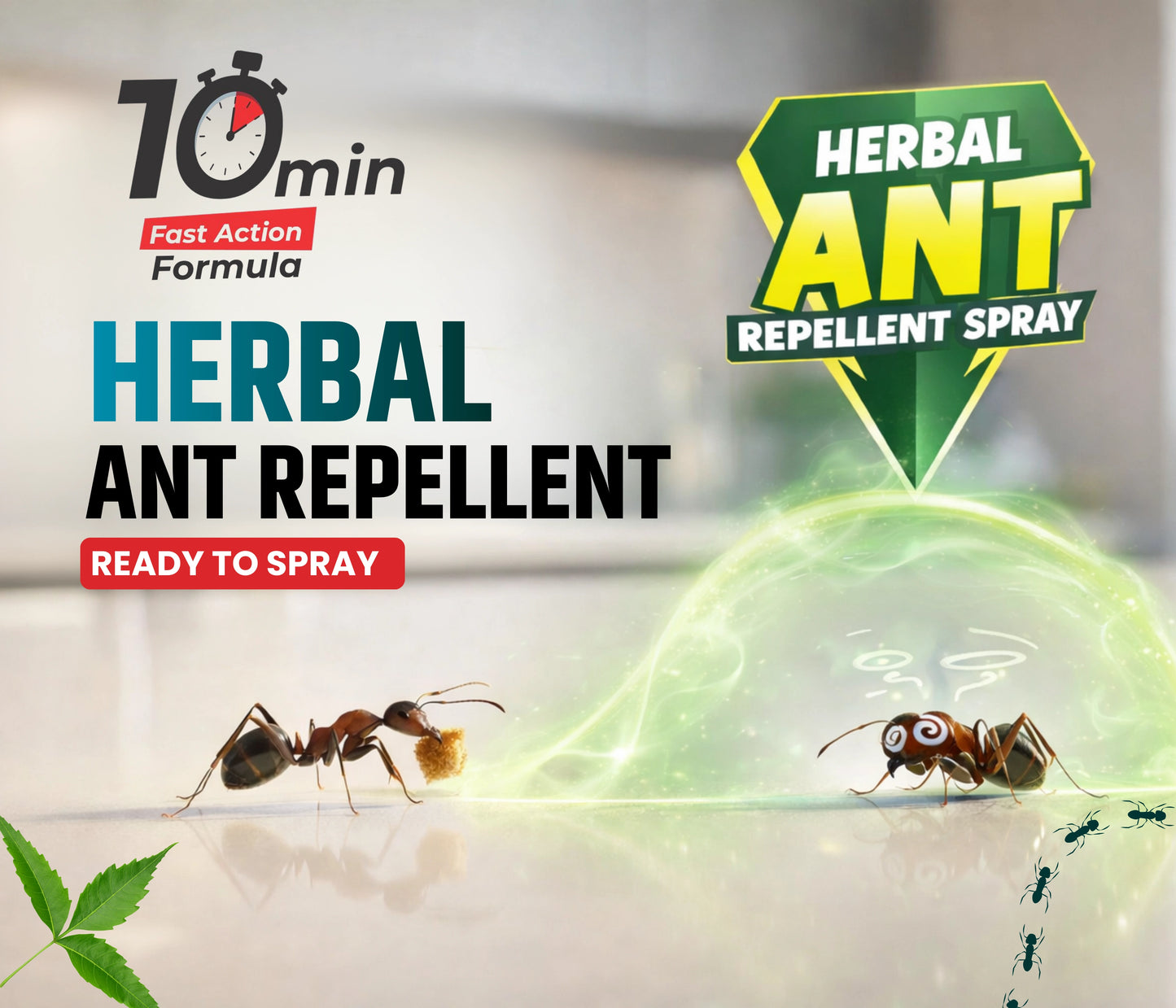Amish Herbal Ant Spray -250ml