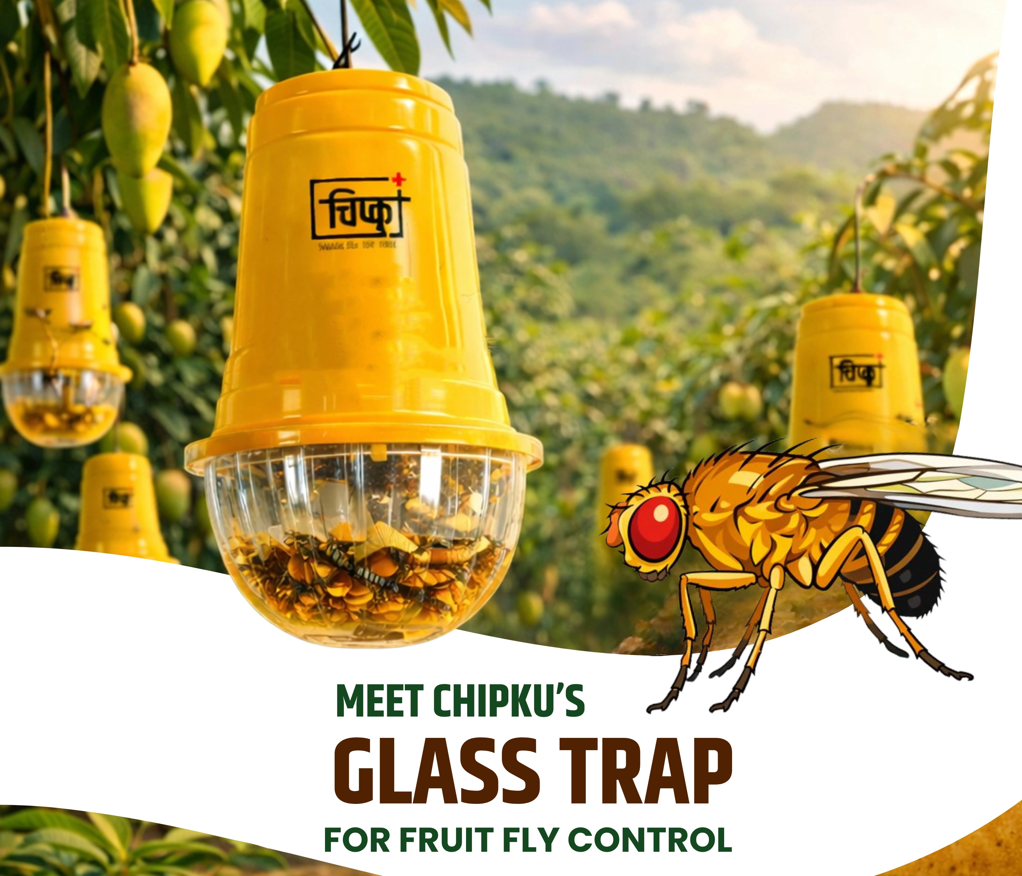 Chipku Glass Trap with Fruit Fly Lure Pack of 20