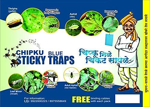 Chipku Insect Killer Blue Sticky Trap Non Toxic and Chemical Free Fly Trap/Insect Catcher/Sticky Pads for Insects, Whiteflies, Aphids, Leaf Minor, Thriphs - (Pack of 25 Pieces)