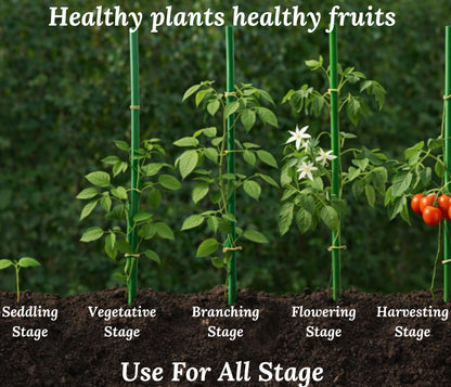 Chipku Nano Pushpa-2ml