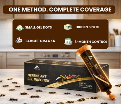 Amish Herbal Ant Gel Injection-30gm
