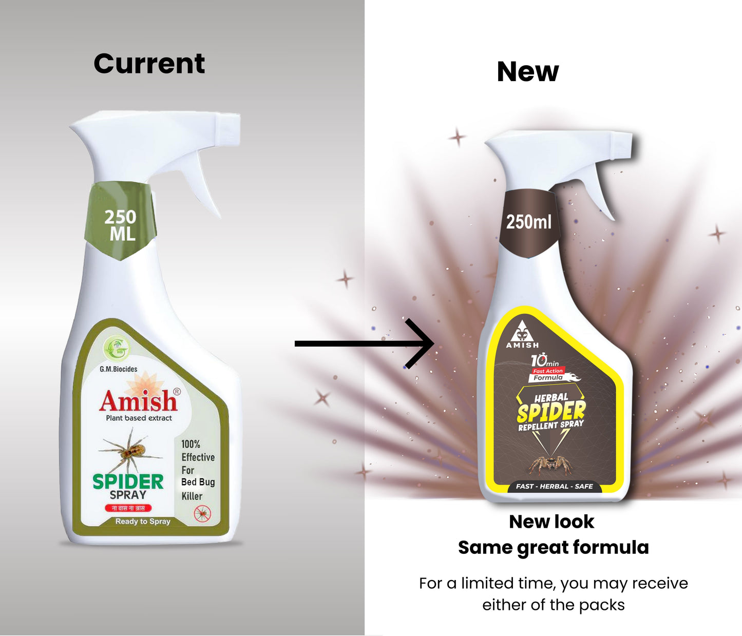 Amish -A Eco-Friendly Spider Repellent Spray