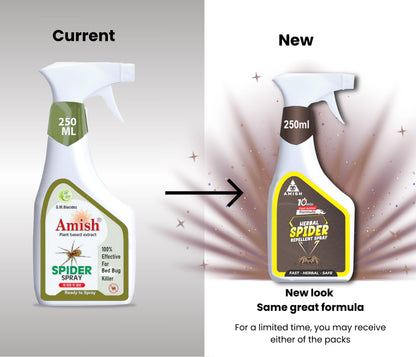 Amish -A Eco-Friendly Spider Repellent Spray