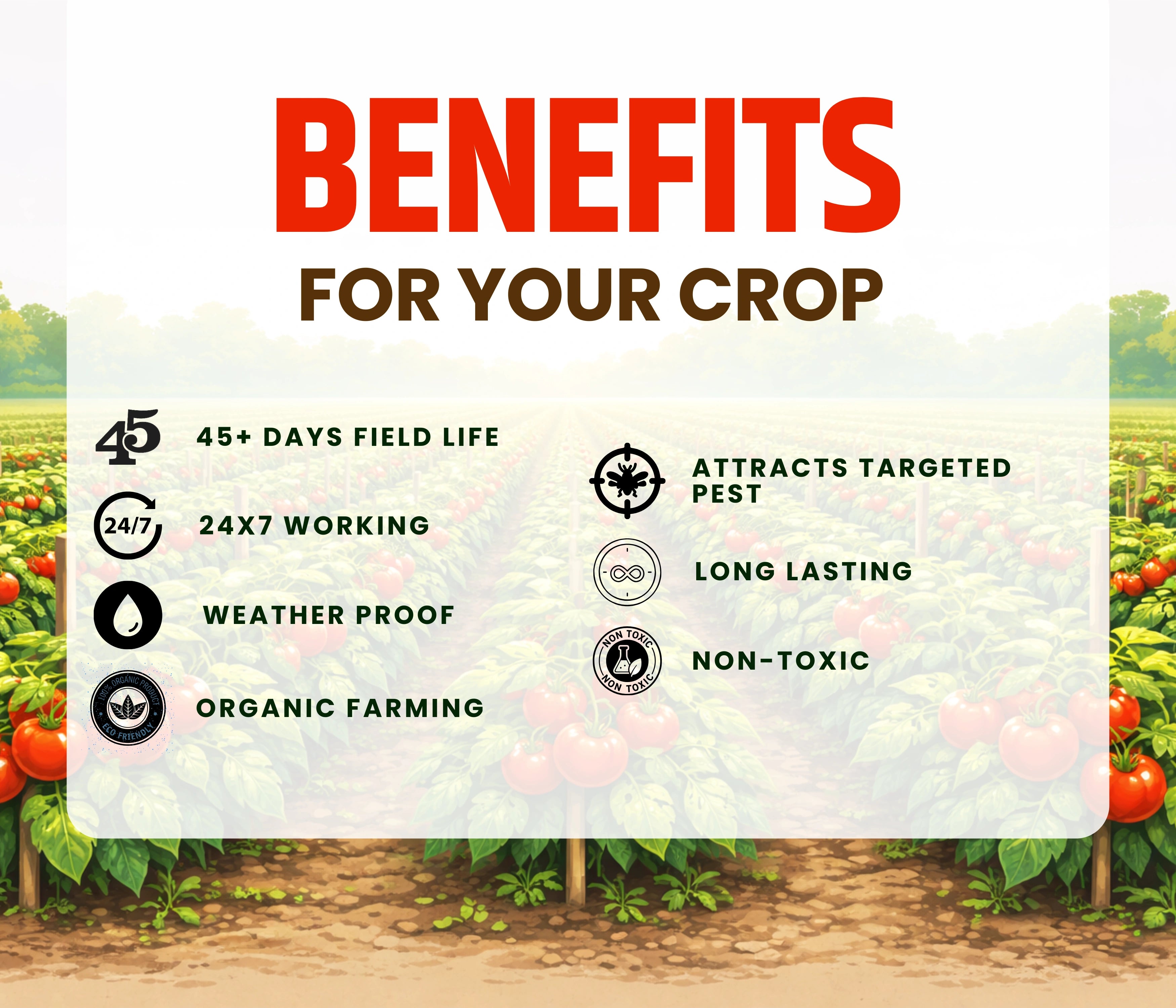 Chipku- Pheromone Water Trap with Tuta Absoluta Lure for Catch Moth Tomato Leaf Minor-Pack Of 20