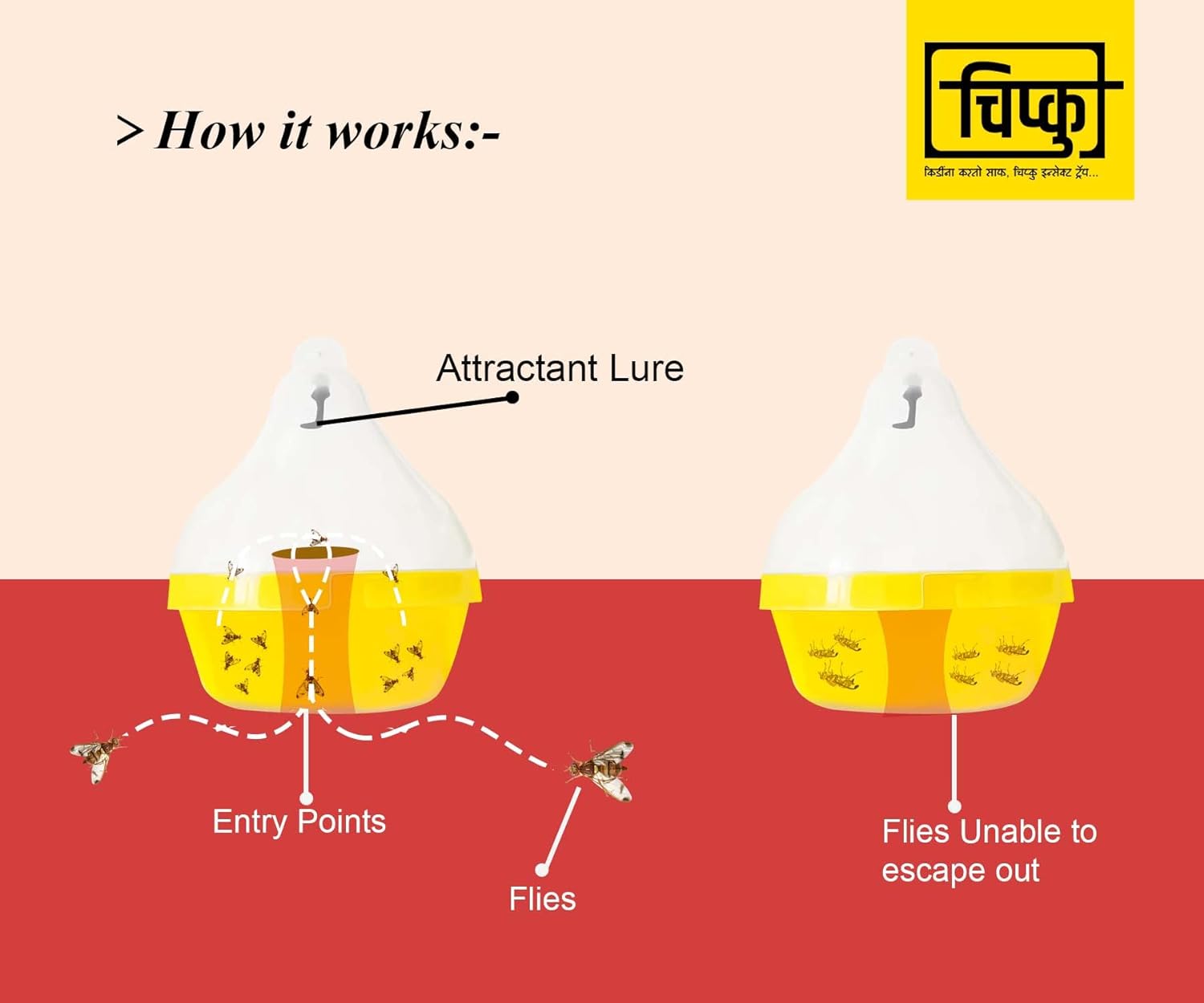 Chipku- Melon Fly bactocera cucurbitae MacPhill/Maxplus pheromone Trap Pack of 10, Brown