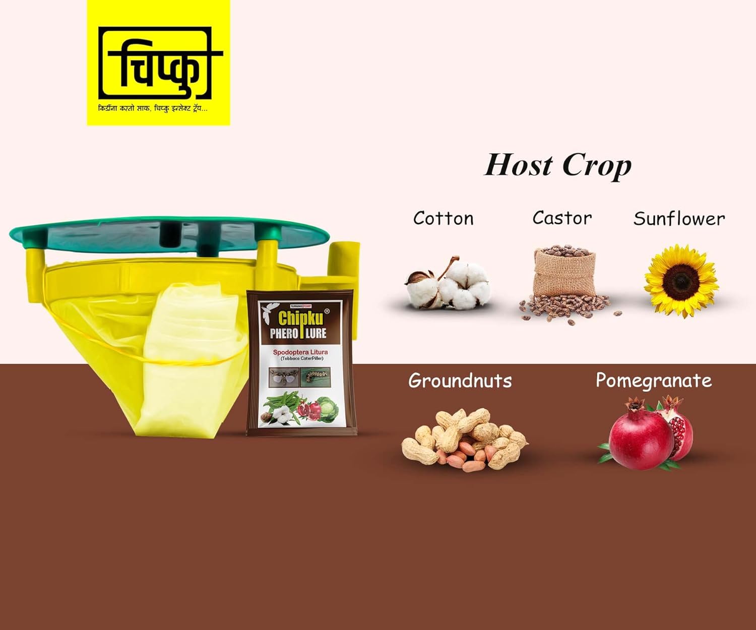 Chipku- Pheromone Trap Funnel with Spodoptera Litura Lure for Catch Insect/Moth of Tobacco Caterpillar (spodo) (Spodoptera Litura) (10)