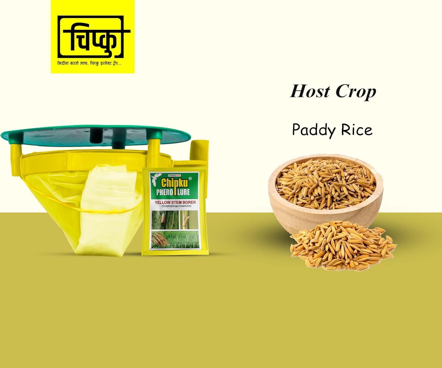 Chipku- Pheromone Trap Funnel with Scriptophaga incertulas for Catch Insect/Moth Yellow Rice stem Borer (YSB) (Scriptophaga incertulas) (20)