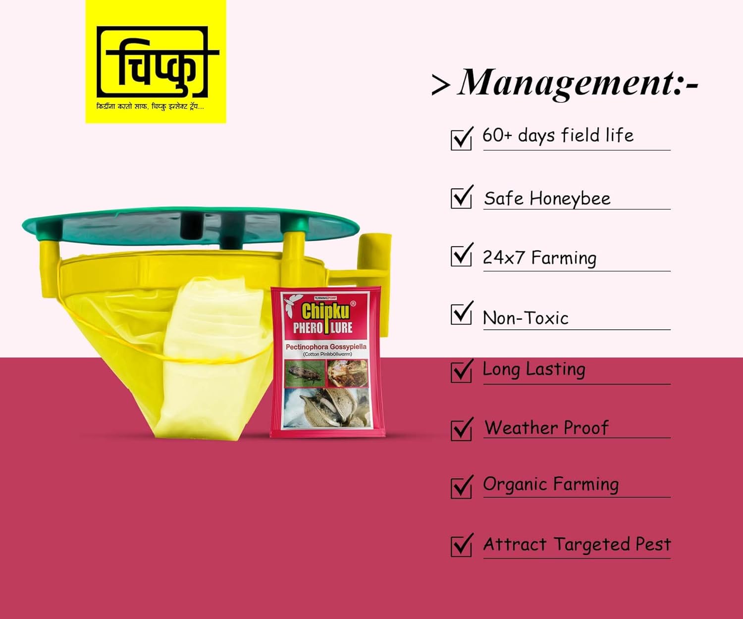 Chipku- Pheromone Trap Funnel with Pink Bollworm Lure for Catch Insect/Moth of Pink Bollworm (pectinophora Gossippiella) (10)