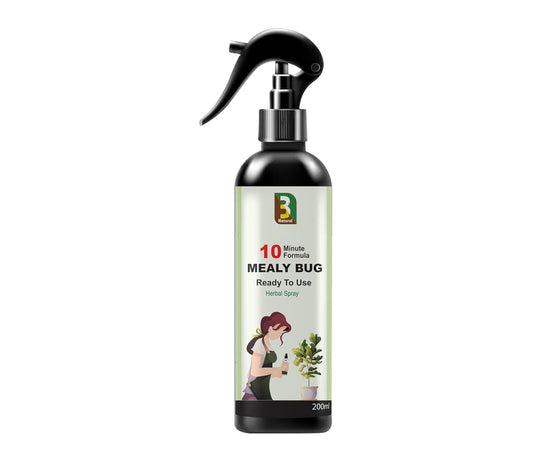 Chipku Herbal Mealy Bug Spray For Plants & Garden 200ml|