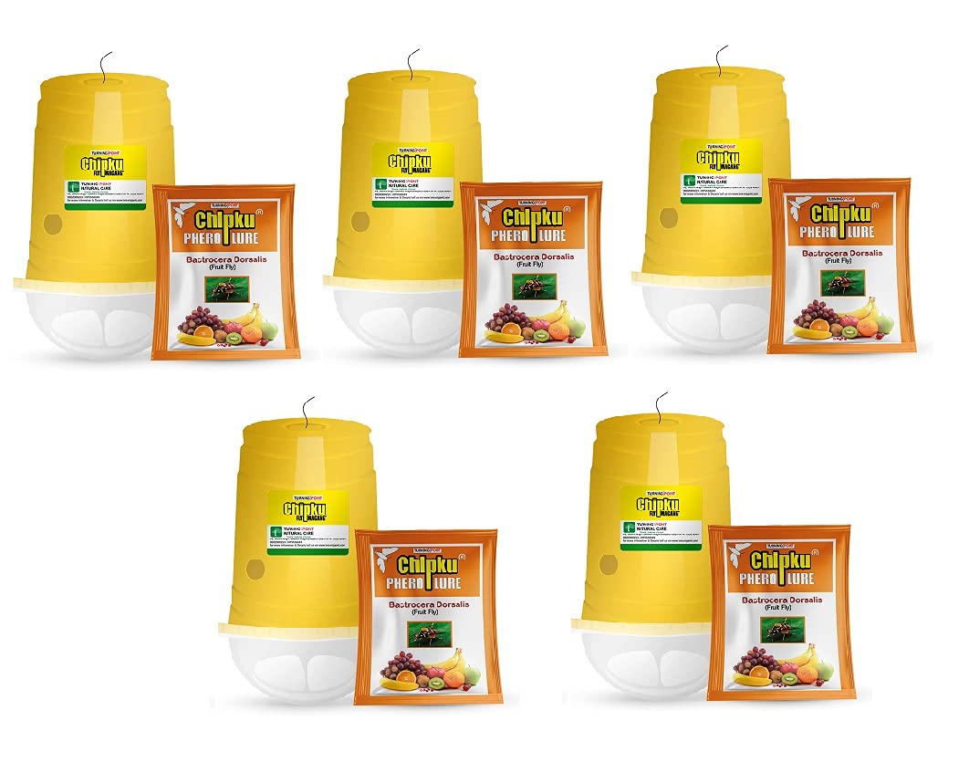 Chipku Fruit Fly Trap and Lure -  For all Fruits type