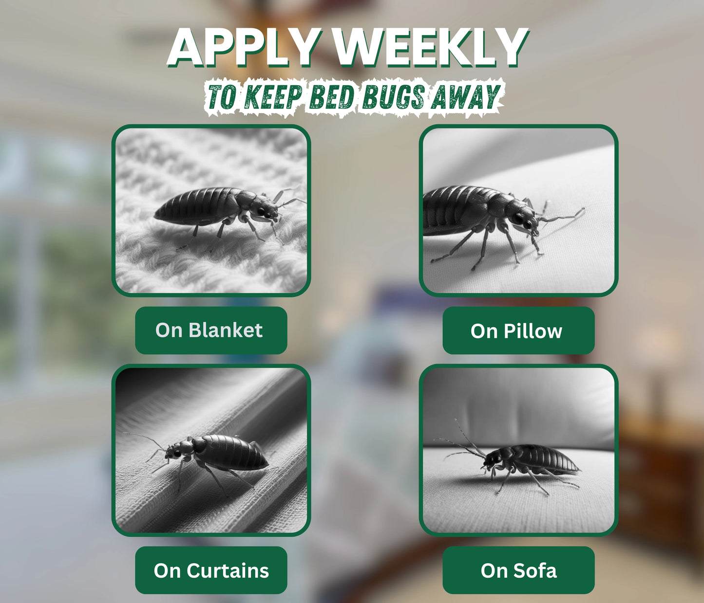 Amish Herbal Bed Bug-30ml ( Pack of 2)