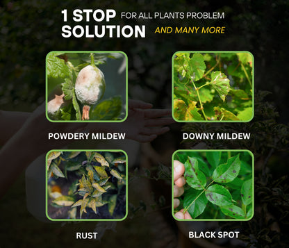 Chipku Pure Cold Pressed Water-soluble Neem Oil - 100 ml