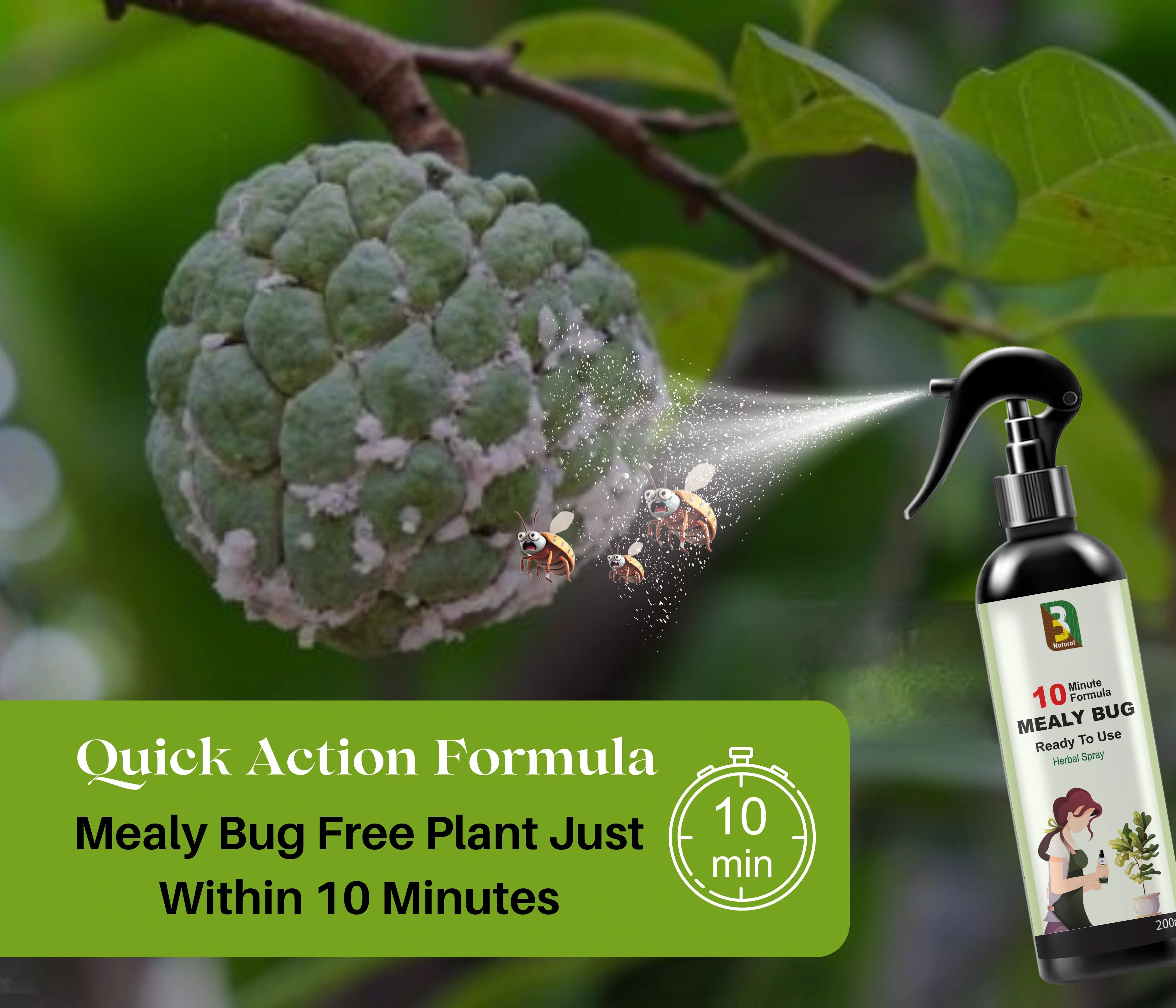 Chipku Herbal Mealy Bug Spray -250ml