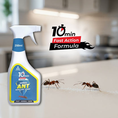 Amish A Eco-Friendly Ant Repellent Spray for Home - 250 ml