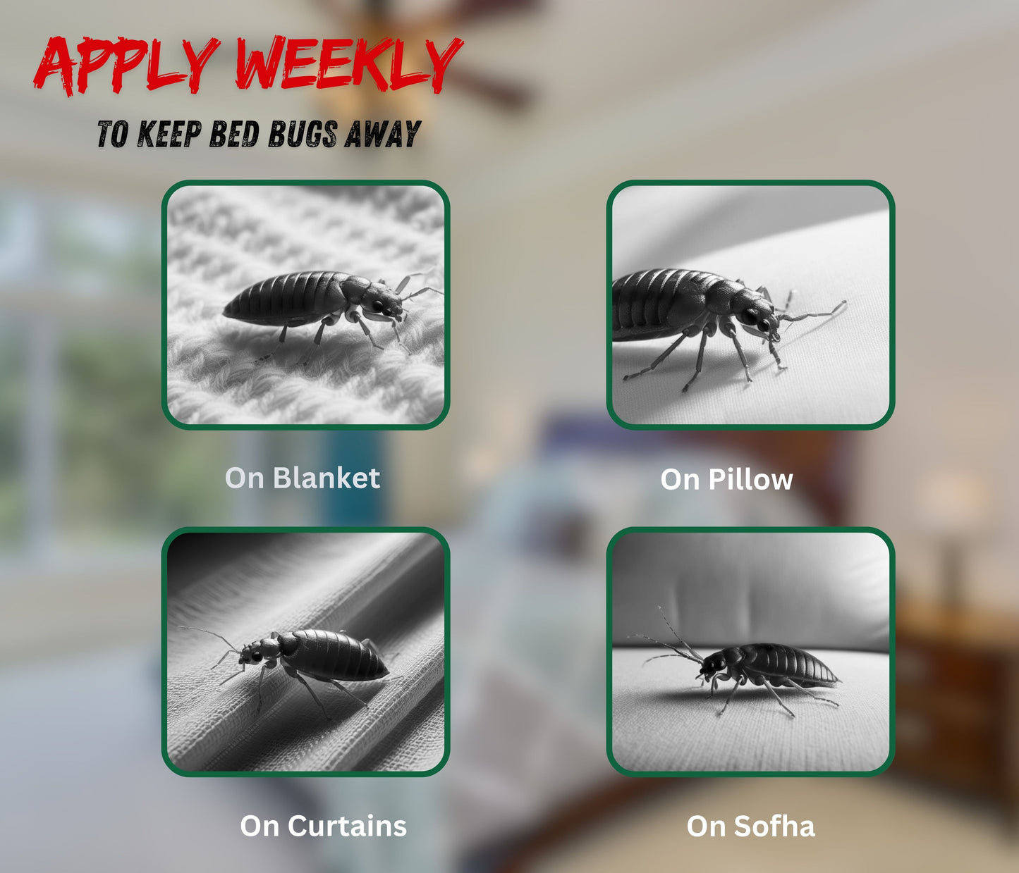 Amish Bed Bug Liquid - pack of  2 ( 30 ml )