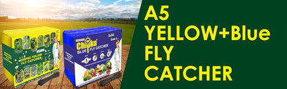 Chipku Yellow+Blue Fly Catcher for Farming Gardening Yellow Sticky Trap for Harmful Insect -