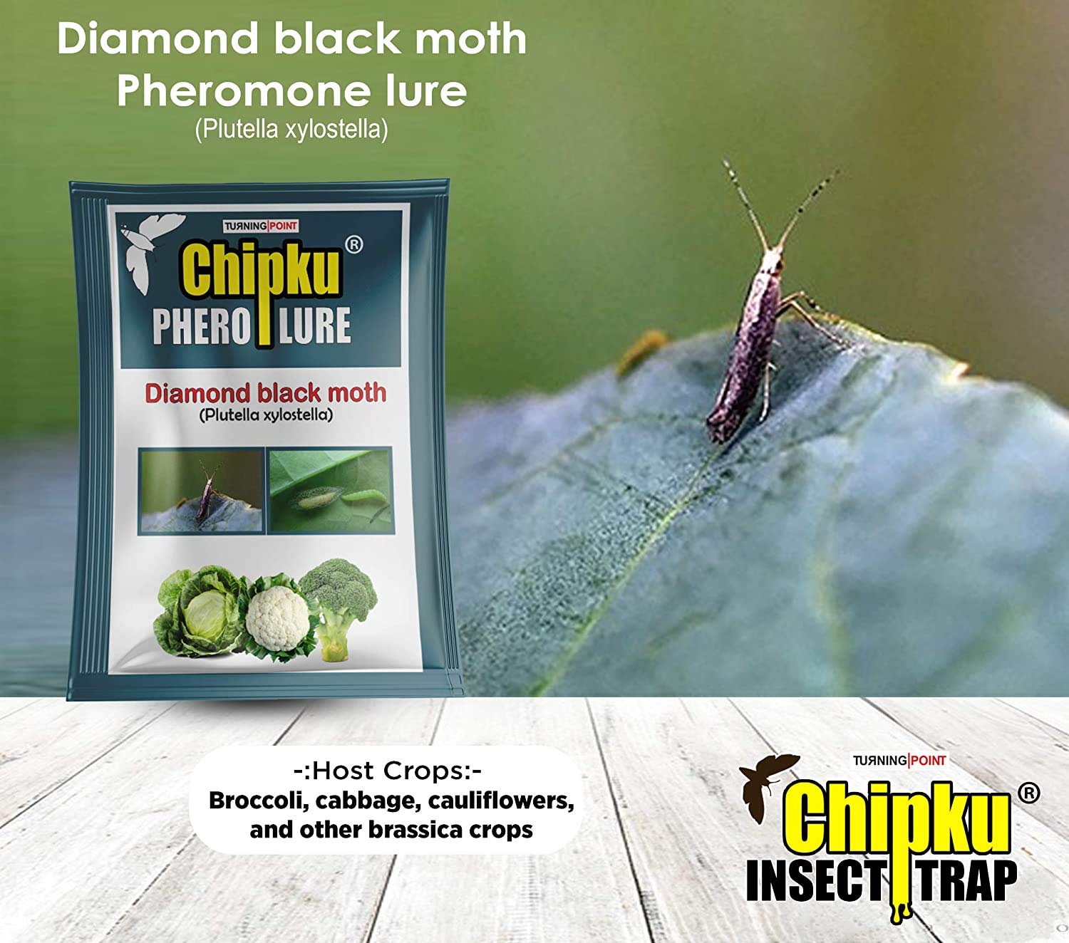 Chipku-Pheromone Lure for Insect Diamond Black Moth (DBM) (10)